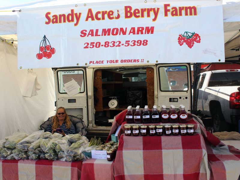 Sandy Acres Berry Farm
