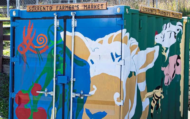 SVFM Mural Project